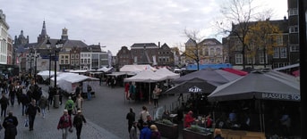 Partij voor de Dieren PvdD partij van de dieren dierenpartij pvvd pvdd esther ouwehand gemeenteraadsverkiezingen 2022 gemeente gemeenteraad verkiezingen groen duurzaam politiek Den Bosch den bosch vegan klimaat ´s-Hertogenbosch