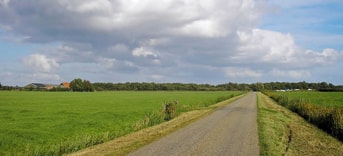 Buitengebied landschap weiland