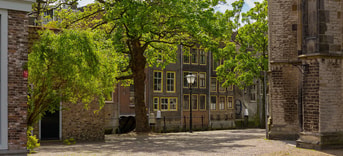 Frans koning C Rjx D30vjd0 unsplash Erfgoed web