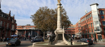 Partij voor de Dieren PvdD partij van de dieren dierenpartij pvvd pvdd esther ouwehand gemeenteraadsverkiezingen 2022 gemeente gemeenteraad verkiezingen groen duurzaam politiek Den Bosch den bosch vegan klimaat ´s-Hertogenbosch