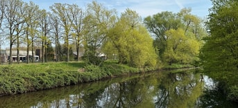 De dommel
