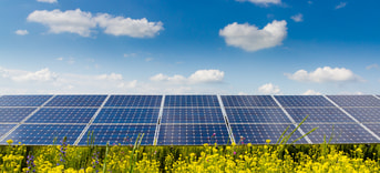 Stock Photo Photovoltaic Modules And Yellow Flowers 178694141