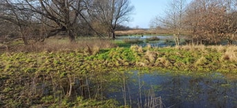 Natuur landschap
