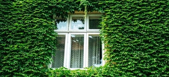 Wonen en bouwen