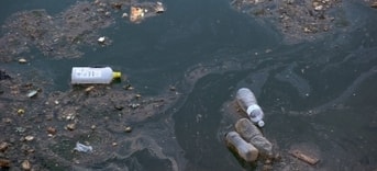 1415697561 Vervuiling Van Water Shutterstock 103581923