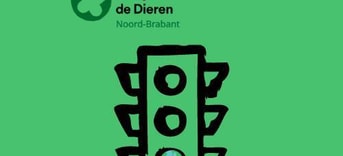 144808831 4065769443446704 3086845177460305639 n