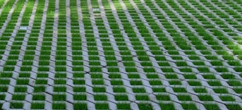 Groene parkeerplaatsen