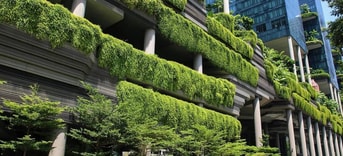 Groene stad
