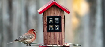 Huisjes