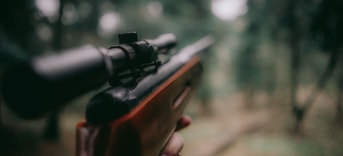 Jacht bandejacht partijvoordedieren drenthe