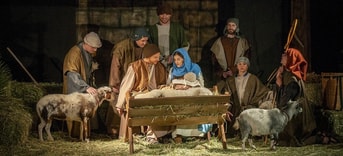 Levende kerststal