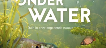 Poster Nederland onder water