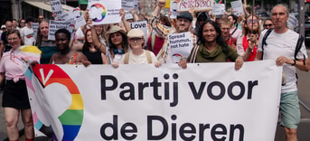Pride Walk 2025 Pvd D 84 by Isabell Janssen Outsider i
