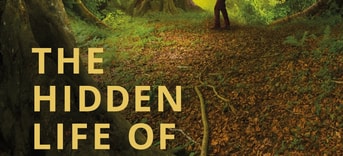The Hidden Life of Trees