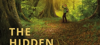 The Hidden Life of Trees