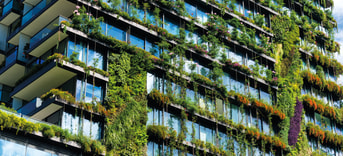 Groene flat