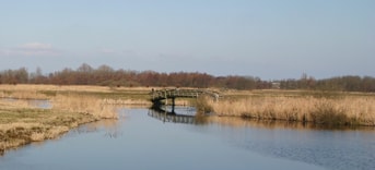 Water oppervlaktwater