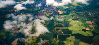 stikstof stikstofcrisis veehouderij ammoniak industrie uitstoot stikstofuitstoot mest natuurgebied natuurgebieden stikstofbeleid natuur biodiversiteit overbelasting volksgezondheid luchtvaart PAS bouw bouwvergunningen klimaatcrisis klimaatverandering vee