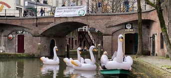 Zwanenactie 2 1