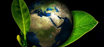 Aarde planeet blad