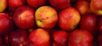 Appels