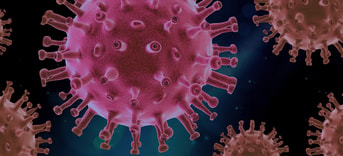 Corona virus