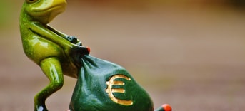 Frog 1234781 1920