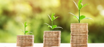 Geld met plantjes