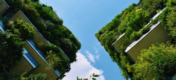 Groen gebouw natuurinclusief