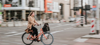 Micheile henderson Grd AN0 NEIKY unsplash