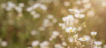 Micheile henderson w IHOF Lc Zl Hs unsplash
