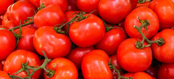 tomaten groente fruit eten gezond gif landbouwgif