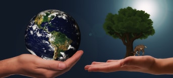 Planeet bomen op handen duurzaamheid
