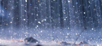 Regen