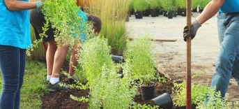 Samen tuin aanleggen