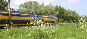 Trein ©Istockphoto Com Bies