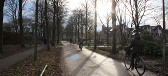 Fietsers op 1 Amersfoort