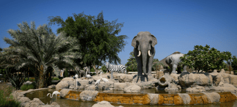 Olifant dierentuin