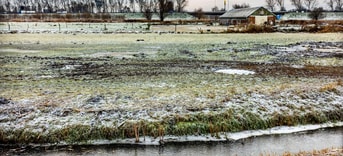Landelijknoord