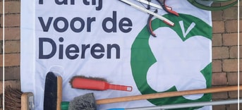 Clean Up