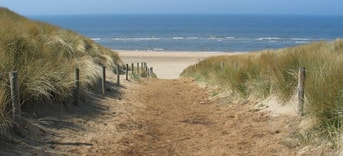 Strandafgang