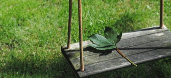 Clickerhappy leaf 2471187 1280