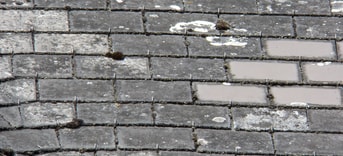 Asbest leien shingles Wikipedia