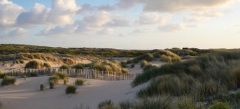 Duinen Den Haag