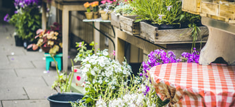 Flower Shop Bloemenwinkel Jasmin Schreiber 703321 Unsplash