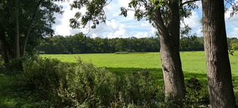 Haagse natuur Partij voor de Dieren