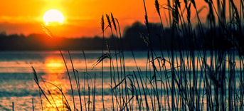 Meer zon riet Pixabay