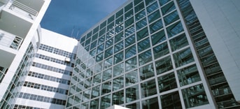 Stadhuis Den haag