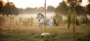 Horse 1489825 1280
