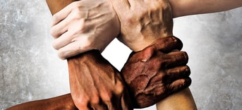 Racism Partij voor de Dieren PvdD partij van de dieren dierenpartij pvvd pvdd esther ouwehand gemeenteraadsverkiezingen 2022 gemeente gemeenteraad verkiezingen groen duurzaam politiek Den Bosch den bosch vegan klimaat ´s-Hertogenbosch